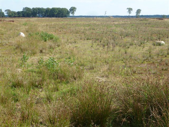Noordenveld